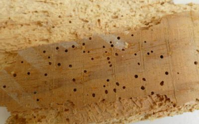 Vices cachés et remise en état par un tiers à la vente